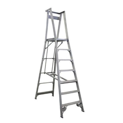 Ladder — Building Equipment in Mudgeeraba, QLD