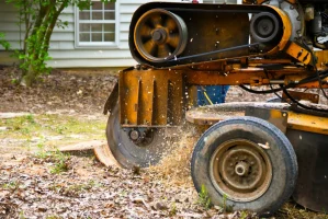 Stump Cutter Stump Grinder — Hire Pro In Mudgeeraba, QLD