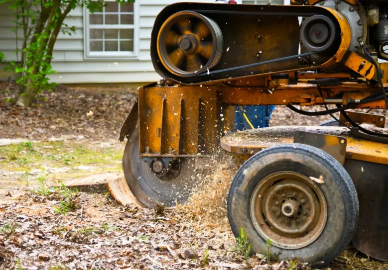 Stump Cutter Stump Grinder — Hire Pro In Mudgeeraba, QLD