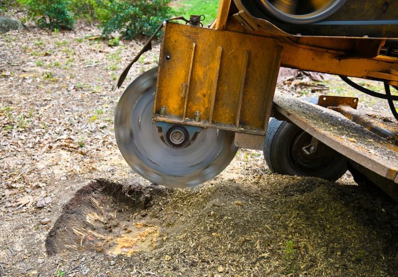 A Stump Grinding Machine Removing a Stump — Hire Pro In Mudgeeraba, QLD