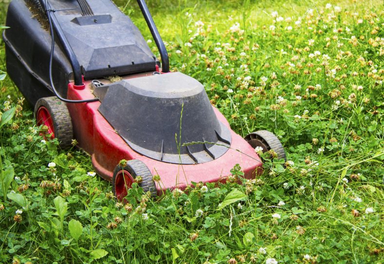 Red Electric Lawn Mower — Hire Pro In Mudgeeraba, QLD