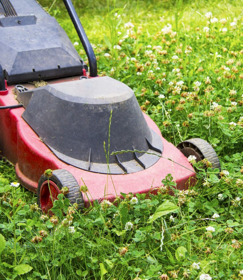 Red Electric Lawn Mower — Hire Pro In Mudgeeraba, QLD