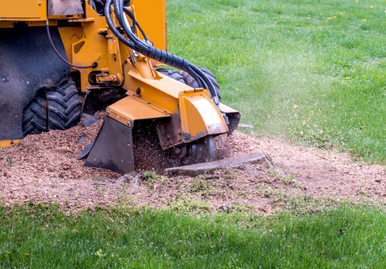 Close Up Of A Stump Grinder Machine — Hire Pro In Mudgeeraba, QLD