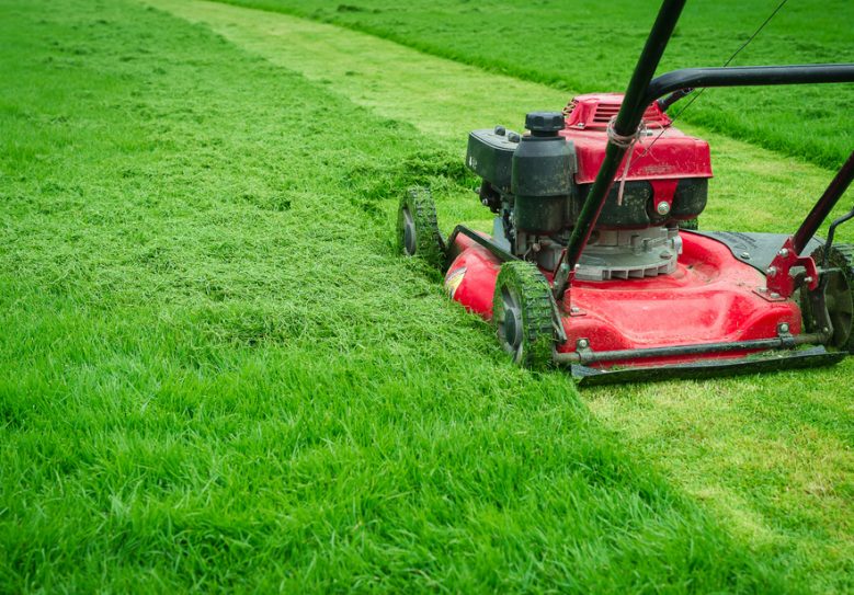 Red Lawnmower Cutting Bright Green Grass — Hire Pro In Mudgeeraba, QLD