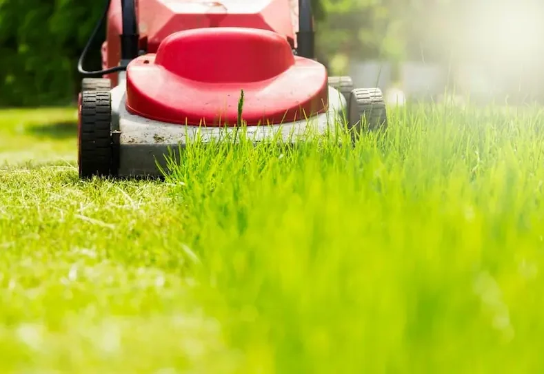 Sunny Summer and Spring Season Landscape — Hire Pro In Mudgeeraba, QLD