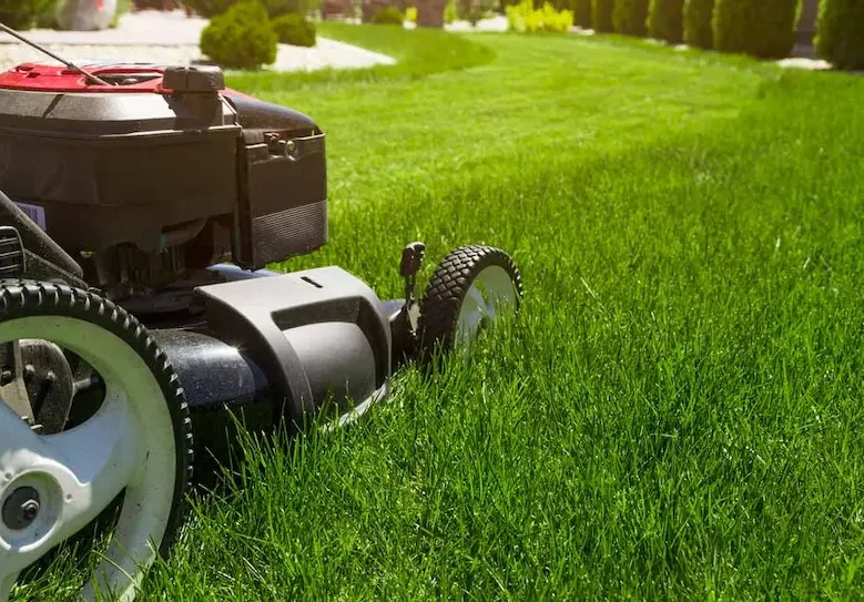 Rotary Hoe On Green Grass Preparing Soil — Hire Pro In Mudgeeraba, QLD